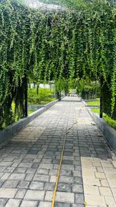 Image of 1000 Sq.ft Residential Plot / Land for sale in Shri Swastik Royale Avenue, Bhurkoni, Raipur for Rs. 2050000