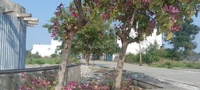 Image of 2400 Sq.ft Residential Plot / Land for sale in Lord Anant Empire Metro Colony, County Walk Township, Indore for Rs. 13200000