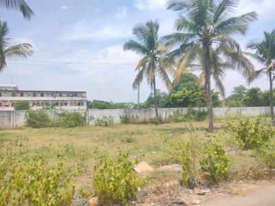 JR Coconest Prime Plot View 2