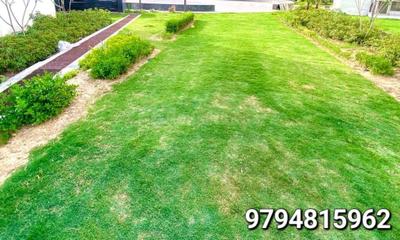 Image of 900 Sq.ft Residential Plot / Land for sale in Sector 11, Gurgaon for Rs. 17000000