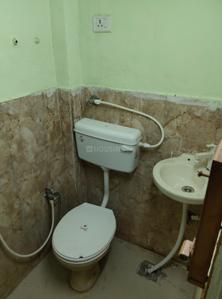 Bathroom Image of 500 Sq.ft 1 BHK Apartment / Flat for rent in Radhakishan Pura Sikar for Rs. 3500
