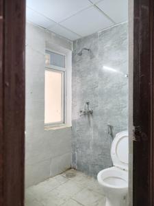 Common Bathroom Image of 750 Sq.ft 2 BHK Apartment / Flat for rent in Amrapali Dream Valley 2, Noida Extension Greater Noida for Rs. 16100