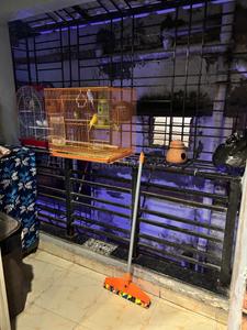 Balcony Image of 620 Sq.ft 2 BHK Apartment / Flat for sale in Picnic Garden Kolkata for Rs. 2100000