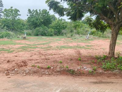 Image of 2400 Sq.ft Residential Plot / Land for sale in Diwancheruvu, Rajahmundry for Rs. 1253000