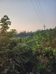 Image of 525 Sq.ft Residential Plot / Land for sale in Salvador Do Mundo, Goa for Rs. 31500000
