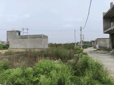 Chhapraula Plot View 2
