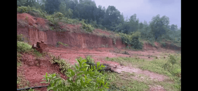 Image of 17224 Sq.ft Residential Plot / Land for sale in Peruvaje, Dakshina Kannada for Rs. 12000000