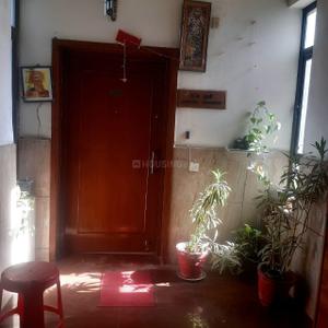 Balcony Image of 1769 Sq.ft 3 BHK Apartment / Flat for rent in Sector PI Greater Noida for Rs. 32000