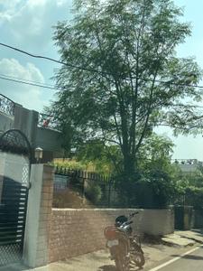 Image of 4500 Sq.ft 3 BHK Independent House for sale in Sector 60, Mohali for Rs. 130000000