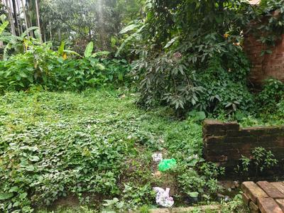Image of 720 Sq.ft Residential Plot / Land for sale in Kumhrar, Patna for Rs. 9500000