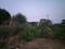Kulesara Plot View 2