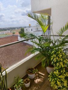Balcony Image of 1069 Sq.ft 2 BHK Apartment / Flat for sale in Whitefield Bengaluru for Rs. 7000000