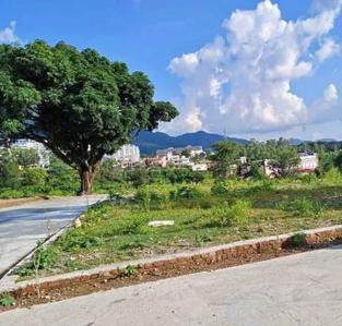 Image of 1800 Sq.ft Residential Plot / Land for sale in Kalagaon, Dehradun for Rs. 14000000