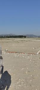 Biharigarh Plot View 2