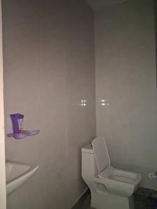 Common Bathroom Image of 600 Sq.ft 1 RK Apartment / Flat for rent in Sector 102 Noida for Rs. 15000