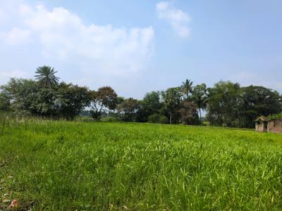 Image of 3600 Sq.ft Residential Plot / Land for sale in Natures Paradise, Joka, Kolkata for Rs. 749998
