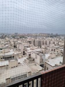 Balcony Image of 700 Sq.ft 2 BHK Apartment / Flat for sale in Venus Parkheights, Vejalpur Ahmedabad for Rs. 6600000