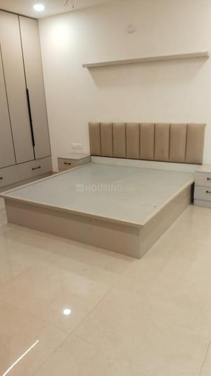 Indigo Ortus Main Image 1