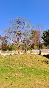 Image of 1267 Sq.ft 2 BHK Independent House for sale in Kingstown, Dunda, Raipur for Rs. 4814600
