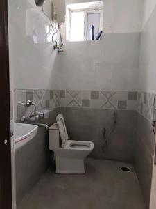 Common Bathroom Image of 1250 Sq.ft 2 BHK Apartment / Flat for rent in Gachibowli Hyderabad for Rs. 30000