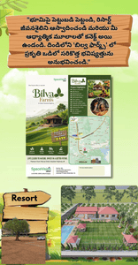 Image of 3150 Sq.ft Residential Plot / Land for sale in Peratwanipalle, Nagarkurnool for Rs. 944650