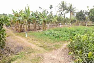Image of 1440 Sq.ft Residential Plot / Land for sale in Barrackpore, Kolkata for Rs. 2500000