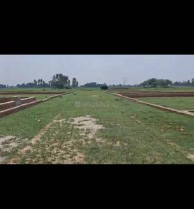Image of 1000 Sq.ft Residential Plot / Land for sale in Sultanpur Road, Lucknow for Rs. 1000000