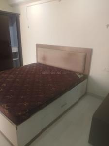 Bedroom Image of 1500 Sq.ft 3 BHK Apartment / Flat for rent in Gulmohar Colony Bhopal for Rs. 28000