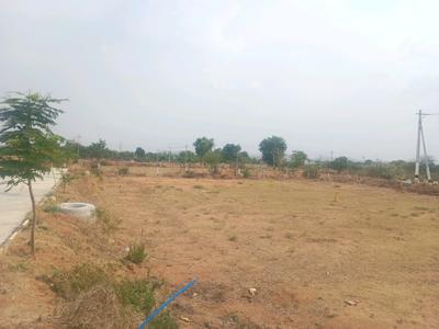 Tukkuguda Plot View 2