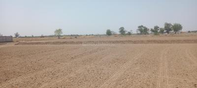 Image of 966 Sq.ft Residential Plot / Land for sale in Kasindra, Ahmedabad for Rs. 20000000