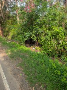 Image of 7700 Sq.ft Residential Plot / Land for sale in Nelamangala, Bengaluru for Rs. 27000000