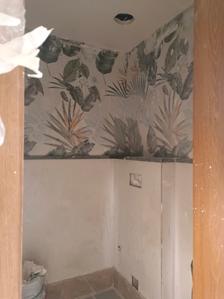 Common Bathroom Image of 2400 Sq.ft 4 BHK Builder Floor for sale in Shahpur Gurgaon for Rs. 46500000