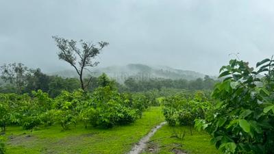 Image of 20000 Sq.ft Residential Plot / Land for sale in Murbad, Thane for Rs. 3000000