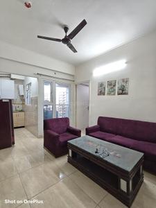 Hall Image of 530 Sq.ft 1 BHK Apartment / Flat for rent in Gaurs 14th Avenue, Noida Extension Greater Noida for Rs. 21000
