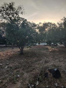 Image of 1500 Sq.ft 2 BHK Farm House for sale in Mahabalipuram, Chennai for Rs. 25000000