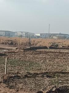 Image of 1089 Sq.ft Residential Plot / Land for sale in Mahamumbai Plots In Sarde, Sarde, Navi Mumbai for Rs. 385000