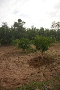 Image of 5000 Sq.ft 5 BHK Villa for sale in Kalapet, Viluppuram for Rs. 35000000