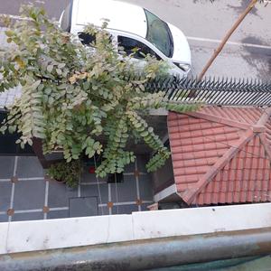 Balcony Image of 1200 Sq.ft 6 BHK Independent House for sale in Rishi Nagar Ludhiana for Rs. 18000000