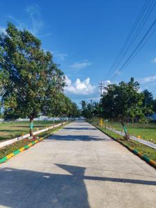 Image of 1200 Sq.ft Residential Plot / Land for sale in Robertsonpet, Kolar for Rs. 1900000