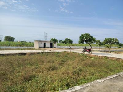 Image of 70 Sq.ft Residential Plot / Land for sale in Del NCR Aerocity Jewar, Shahpur Kala, Greater Noida for Rs. 1611250