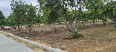 Image of 7405 Sq.ft Residential Plot / Land for sale in Srinivaspur Rural, Kolar for Rs. 4443000