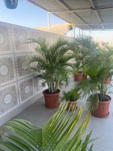 Balcony Image of 5500 Sq.ft 4 BHK Penthouse for sale in Thaltej Ahmedabad for Rs. 57500000