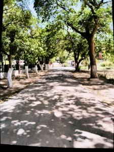 Image of 1542 Sq.ft Residential Plot / Land for sale in Palam Vihar, Gurgaon for Rs. 42900000