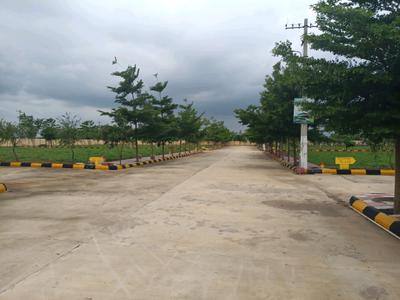Hampton Palms Internal Roads 2