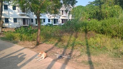 Image of 8640 Sq.ft Residential Plot / Land for sale in Jagannath Hiyar Majhe, Santiniketan, Bolpur-Santiniketan for Rs. 10000000