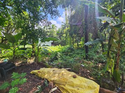 Image of 472 Sq.ft Residential Plot / Land for sale in Parra, Goa for Rs. 35400000