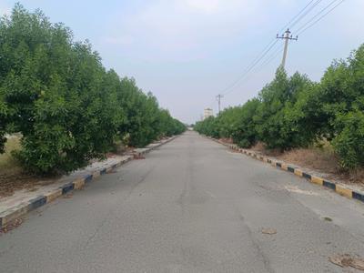 Image of 167 Sq.ft Residential Plot / Land for sale in Kompally, Hyderabad for Rs. 9500011