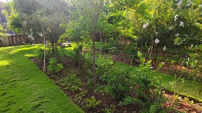 Image of 7616 Sq.ft Residential Plot / Land for sale in Saiyed Vasna, Vadodara for Rs. 45700000