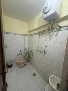 Bathroom Image of 1800 Sq.ft 4 BHK Builder Floor for rent in Sector 35 Chandigarh for Rs. 70000