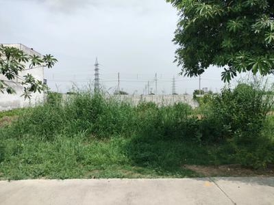 Sector 77 Plot View 1